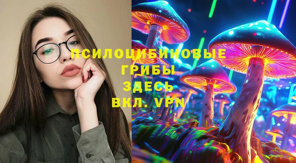 стафф Арсеньев