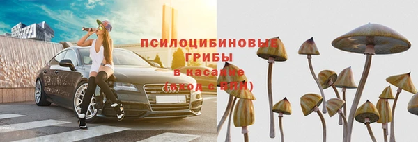 стафф Арсеньев