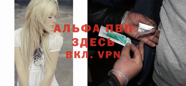 стафф Арсеньев