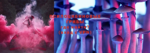 экстази Алексин