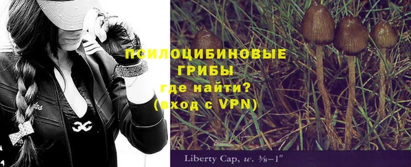 стафф Арсеньев