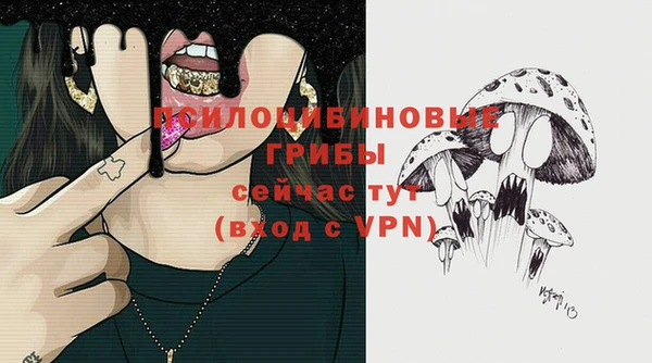 PSILOCYBIN Каменск-Шахтинский