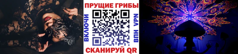 закладки Баксан Галлюциногенные грибы Psilocybine cubensis